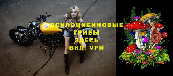 бутират Алексин